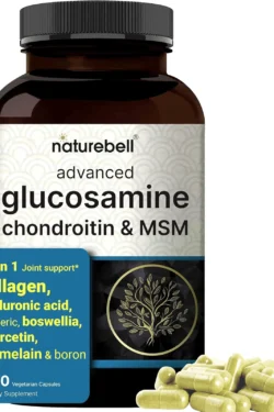 Glucosamine,chondroitin and MSM 240 cap