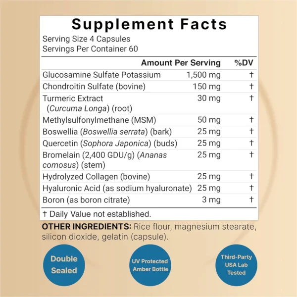 Glucosamine,chondroitin and MSM 240 cap