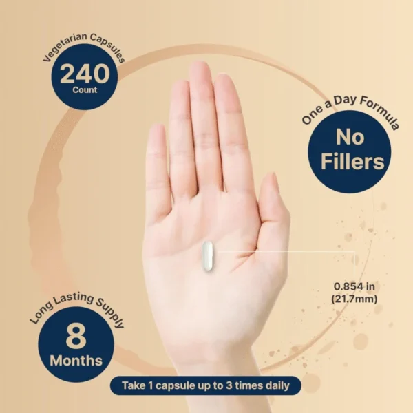 Magnesium glycinate 500 mg 240 cap